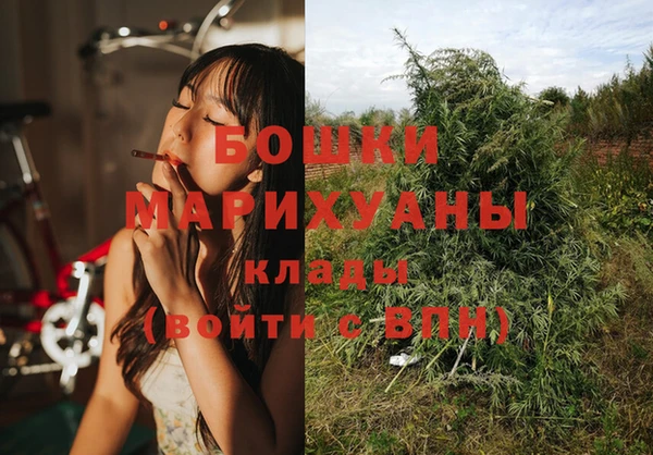 бошки Покачи