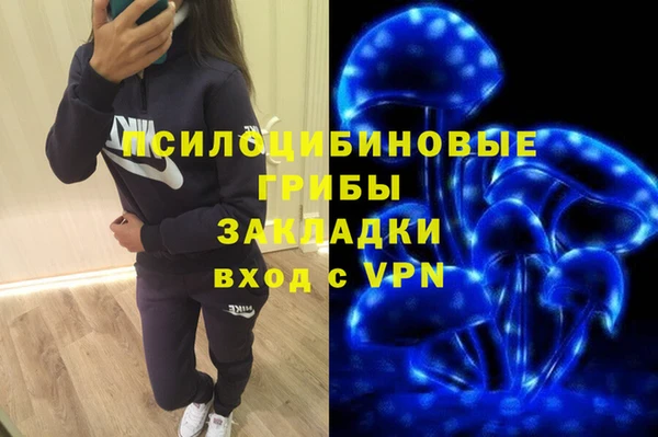 шишки Покров
