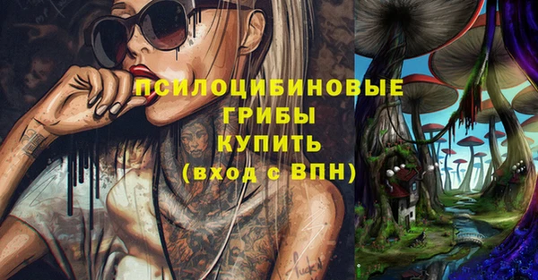 альфа пвп Алексеевка