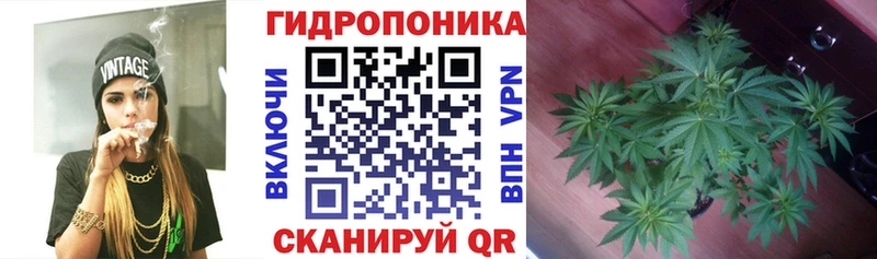 Канабис White Widow  Краснообск 